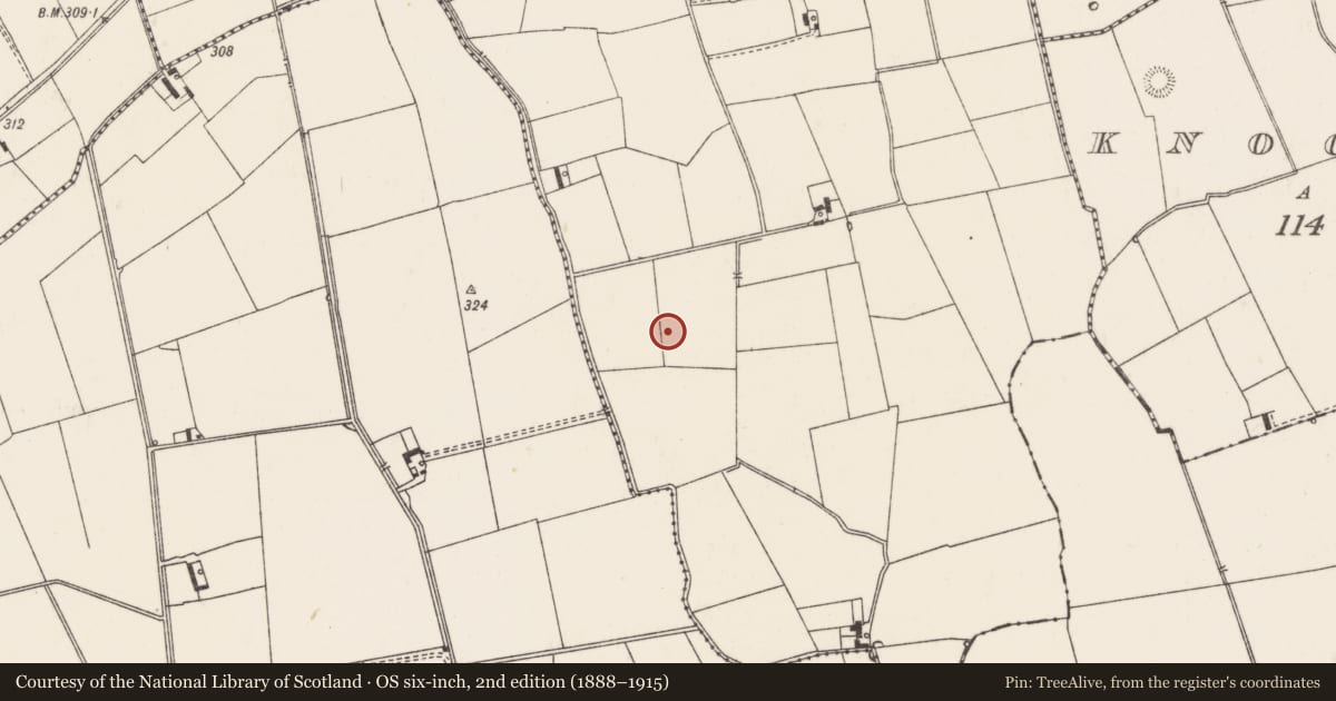 Ordnance Survey six-inch map, 2nd edition (1888–1915) covering the location of Earthwork, Ballycahill, County Limerick, with a pin at the register's coordinates
