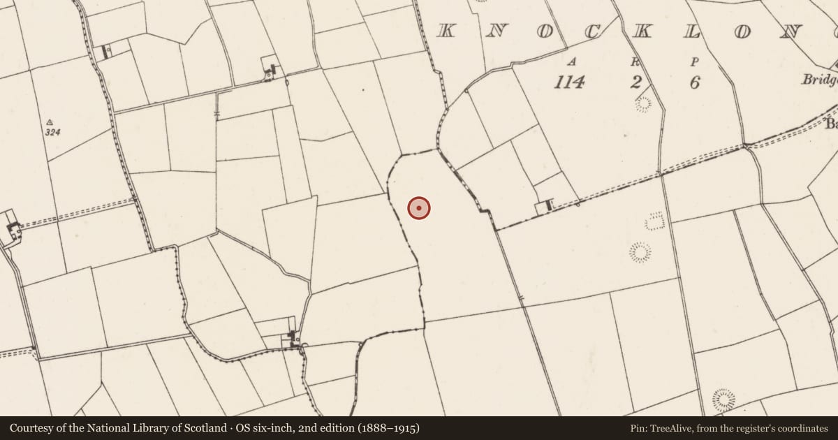 Ordnance Survey six-inch map, 2nd edition (1888–1915) covering the location of Barrow - ditch barrow, Knocklong West, County Limerick, with a pin at the register's coordinates