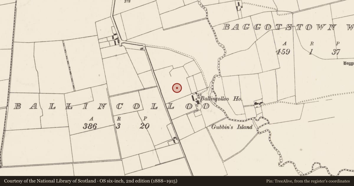 Ordnance Survey six-inch map, 2nd edition (1888–1915) covering the location of Earthwork, Ballincolloo, County Limerick, with a pin at the register's coordinates