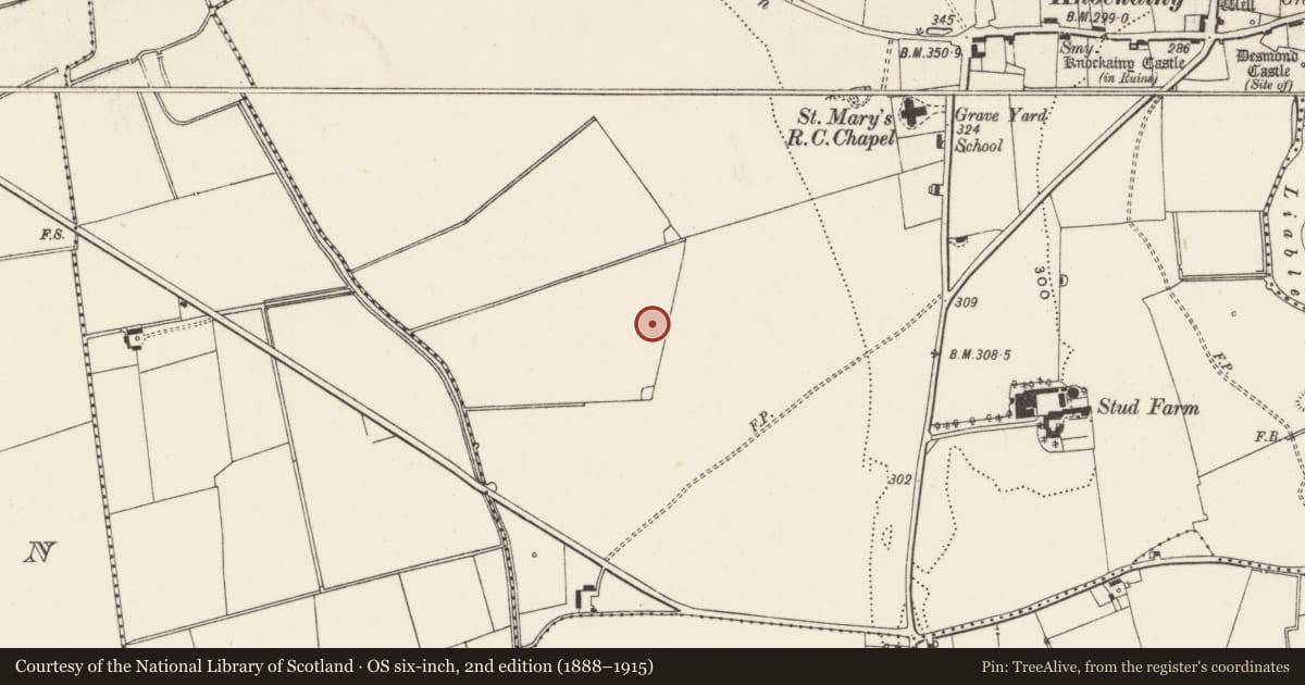 Ordnance Survey six-inch map, 2nd edition (1888–1915) covering the location of Barrow - ditch barrow, Knockainy West, County Limerick, with a pin at the register's coordinates