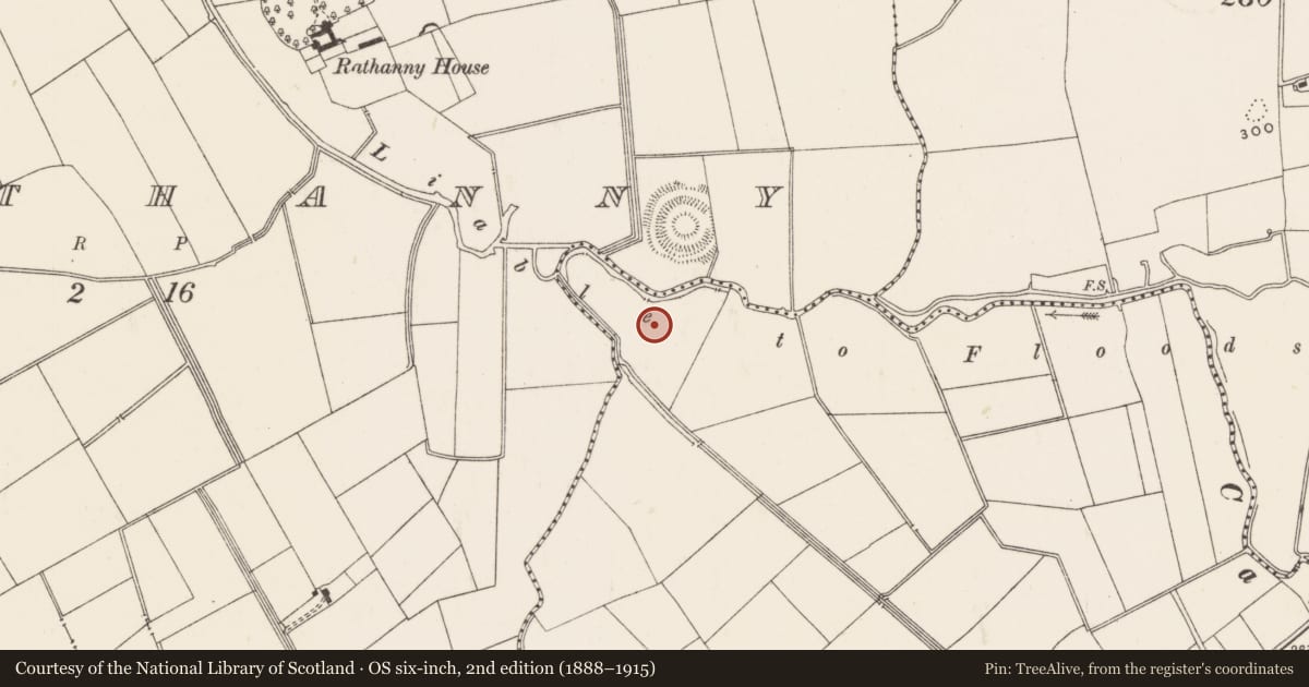 Ordnance Survey six-inch map, 2nd edition (1888–1915) covering the location of Barrow - ditch barrow, Ballycahill, County Limerick, with a pin at the register's coordinates