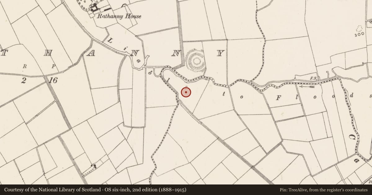 Ordnance Survey six-inch map, 2nd edition (1888–1915) covering the location of Barrow - ditch barrow, Ballycahill, County Limerick, with a pin at the register's coordinates