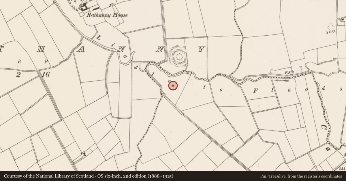 Ordnance Survey six-inch map, 2nd edition (1888–1915) covering the location of Barrow - ditch barrow, Ballycahill, County Limerick, with a pin at the register's coordinates