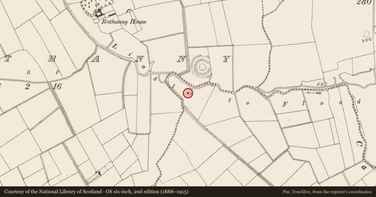 Ordnance Survey six-inch map, 2nd edition (1888–1915) covering the location of Barrow - ditch barrow, Ballycahill, County Limerick, with a pin at the register's coordinates