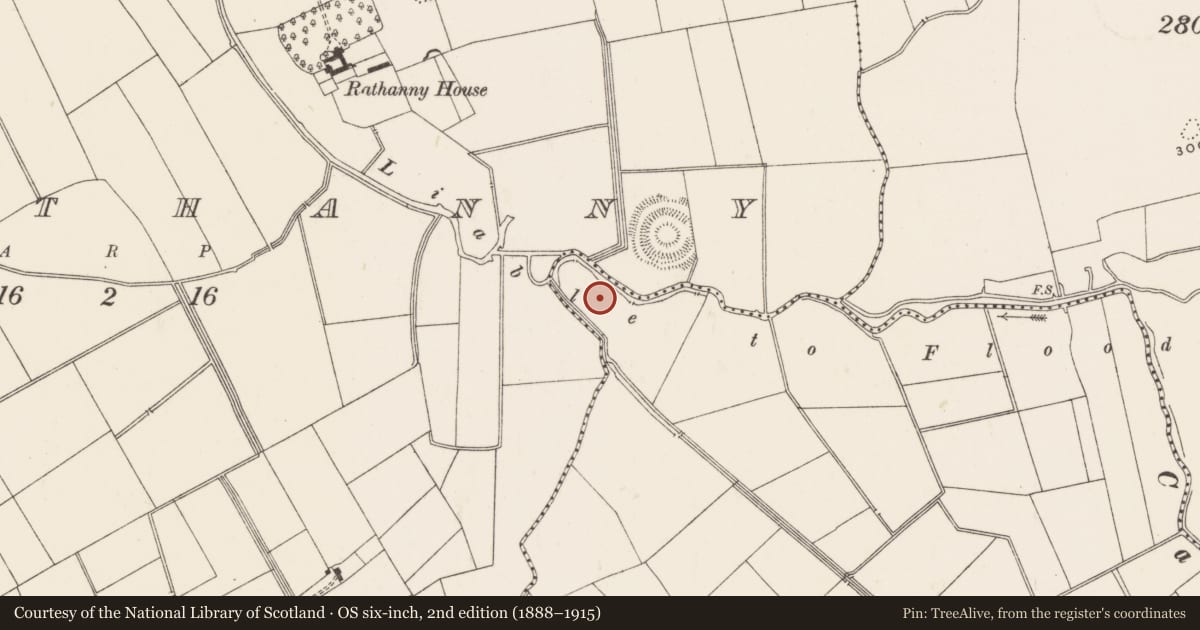 Ordnance Survey six-inch map, 2nd edition (1888–1915) covering the location of Earthwork, Ballycahill, County Limerick, with a pin at the register's coordinates