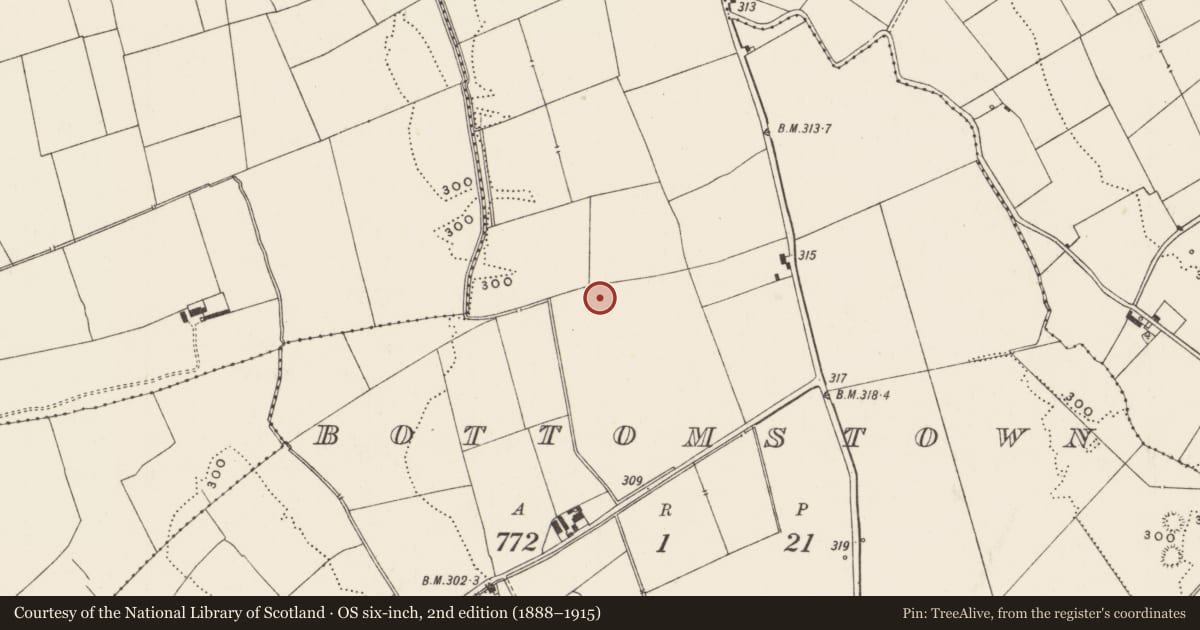 Ordnance Survey six-inch map, 2nd edition (1888–1915) covering the location of Earthwork, Bottomstown, County Limerick, with a pin at the register's coordinates