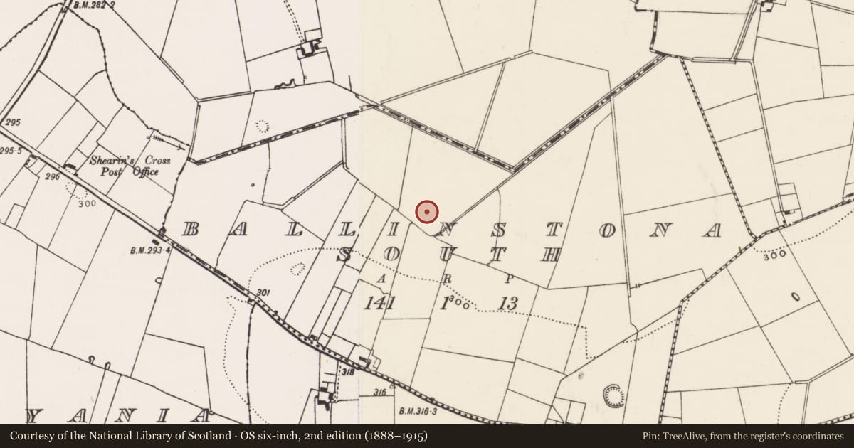 Ordnance Survey six-inch map, 2nd edition (1888–1915) covering the location of Barrow - ditch barrow, Ballinstona South, County Limerick, with a pin at the register's coordinates