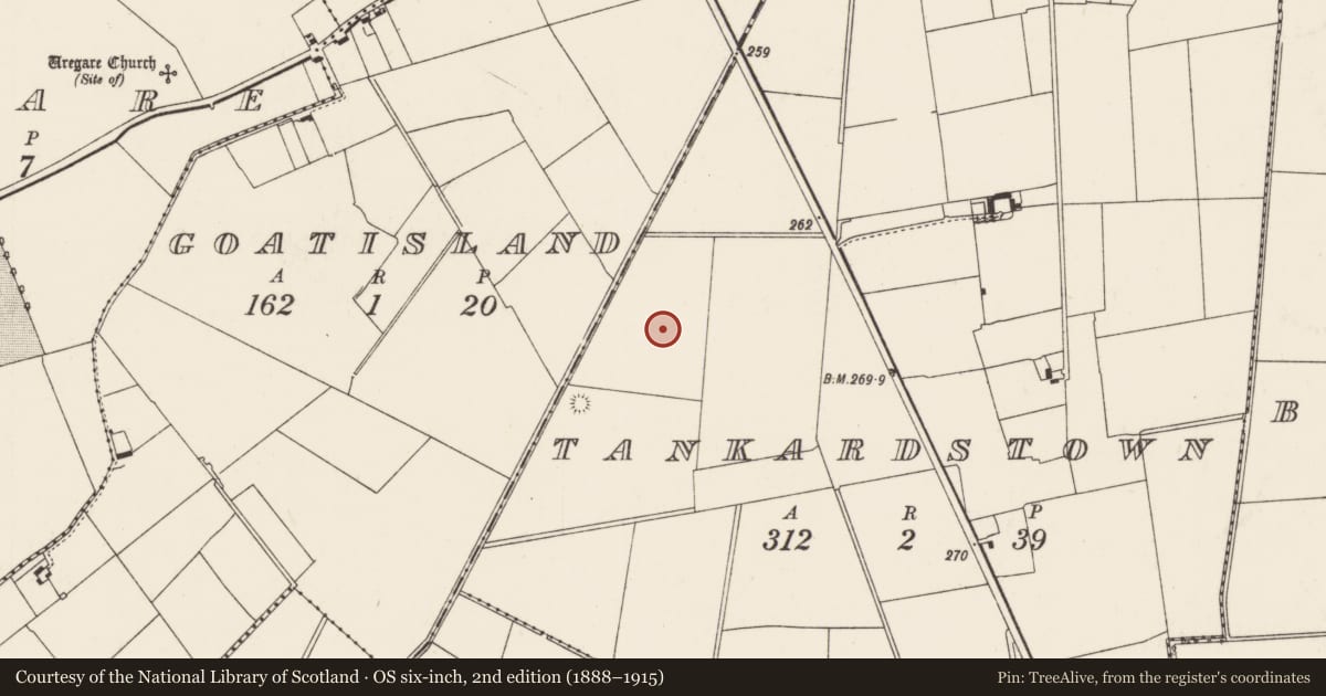Ordnance Survey six-inch map, 2nd edition (1888–1915) covering the location of Barrow - unclassified, Tankardstown, County Limerick, with a pin at the register's coordinates