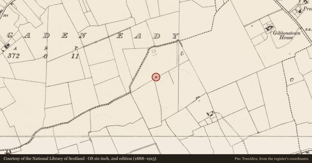Ordnance Survey six-inch map, 2nd edition (1888–1915) covering the location of Barrow - ditch barrow, Gibbonstown, County Limerick, with a pin at the register's coordinates