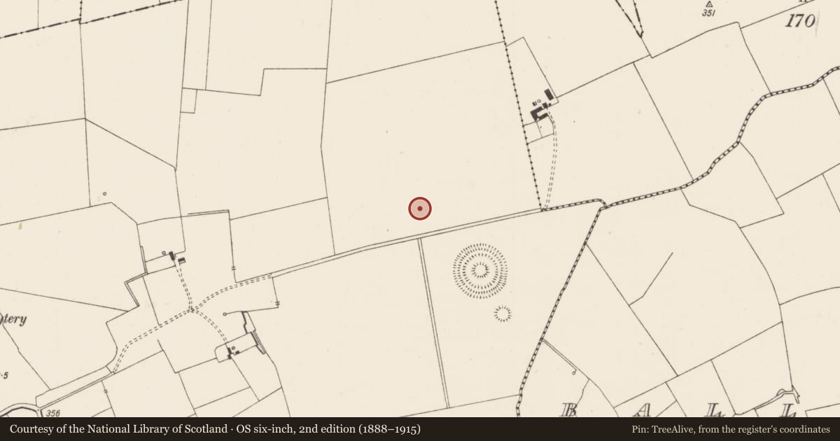 Ordnance Survey six-inch map, 2nd edition (1888–1915) covering the location of Barrow - ditch barrow, Ballinscaula, County Limerick, with a pin at the register's coordinates