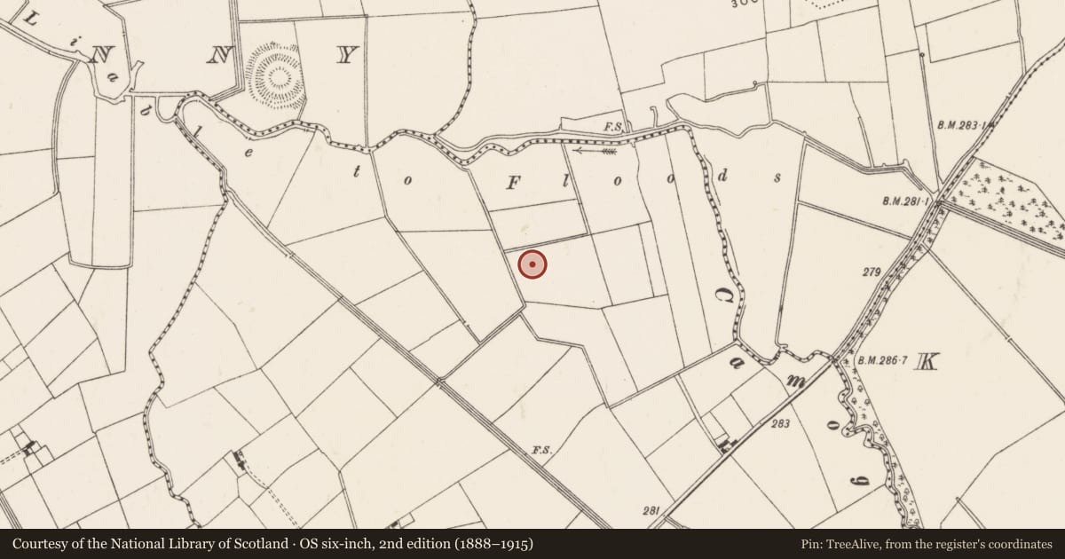 Ordnance Survey six-inch map, 2nd edition (1888–1915) covering the location of Barrow - ditch barrow, Ballycahill, County Limerick, with a pin at the register's coordinates