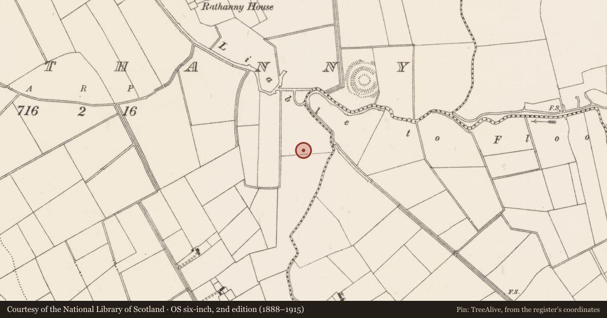 Ordnance Survey six-inch map, 2nd edition (1888–1915) covering the location of Earthwork, Rathanny, County Limerick, with a pin at the register's coordinates