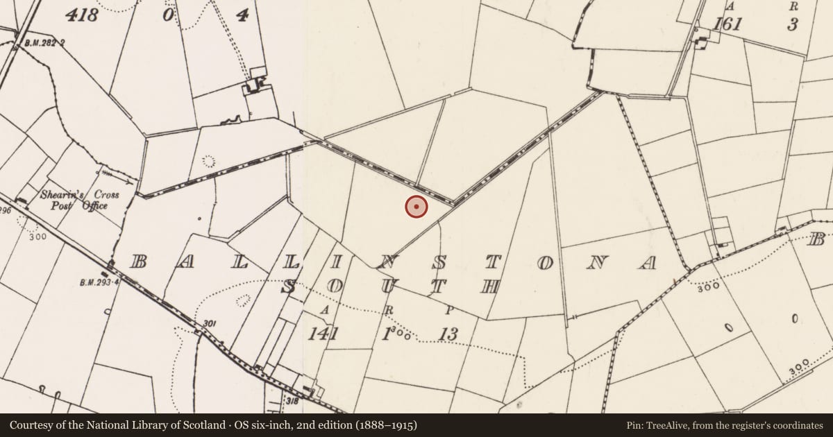 Ordnance Survey six-inch map, 2nd edition (1888–1915) covering the location of Barrow - ditch barrow, Ballinstona South, County Limerick, with a pin at the register's coordinates