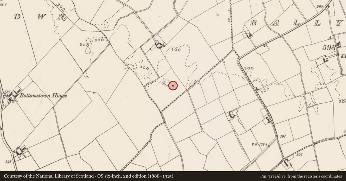 Ordnance Survey six-inch map, 2nd edition (1888–1915) covering the location of Barrow - unclassified, Rathanny, County Limerick, with a pin at the register's coordinates