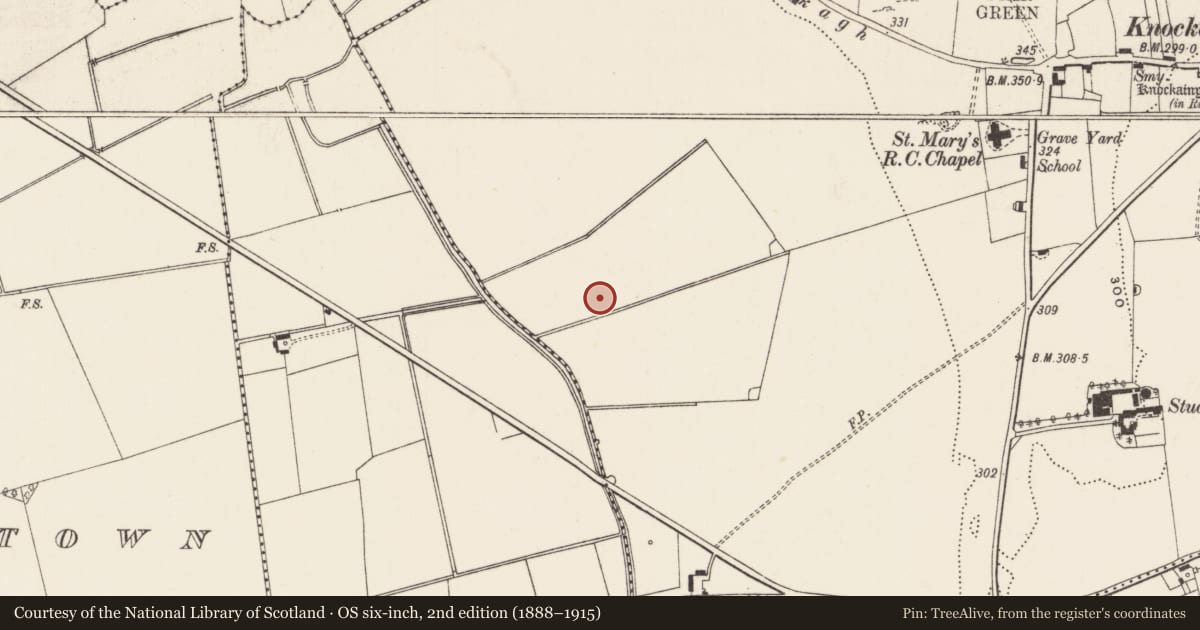 Ordnance Survey six-inch map, 2nd edition (1888–1915) covering the location of Barrow - ditch barrow, Knockainy West, County Limerick, with a pin at the register's coordinates