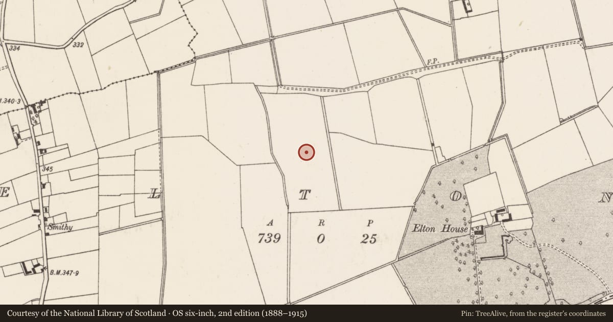 Ordnance Survey six-inch map, 2nd edition (1888–1915) covering the location of Barrow - ditch barrow, Elton, County Limerick, with a pin at the register's coordinates