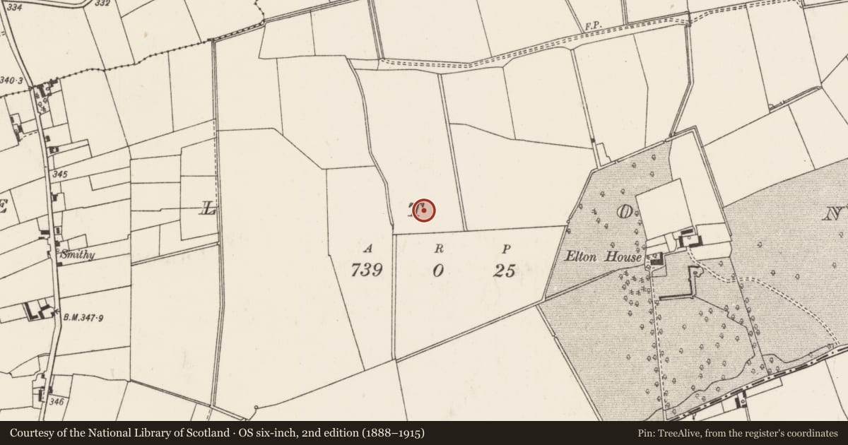 Ordnance Survey six-inch map, 2nd edition (1888–1915) covering the location of Barrow - ditch barrow, Elton, County Limerick, with a pin at the register's coordinates