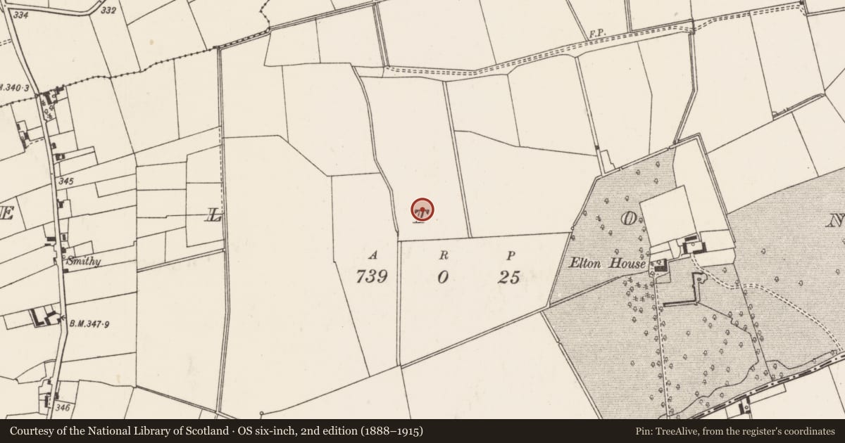 Ordnance Survey six-inch map, 2nd edition (1888–1915) covering the location of Barrow - ditch barrow, Elton, County Limerick, with a pin at the register's coordinates