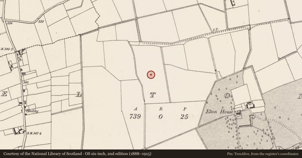 Ordnance Survey six-inch map, 2nd edition (1888–1915) covering the location of Barrow - ditch barrow, Elton, County Limerick, with a pin at the register's coordinates