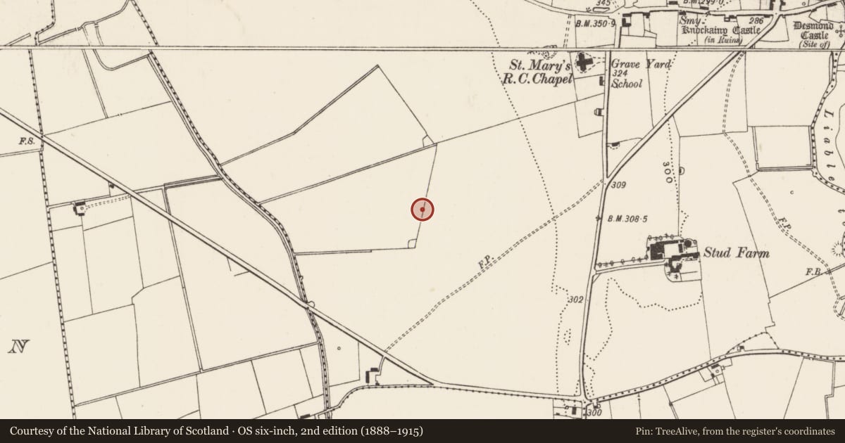 Ordnance Survey six-inch map, 2nd edition (1888–1915) covering the location of Barrow - ditch barrow, Knockainy West, County Limerick, with a pin at the register's coordinates
