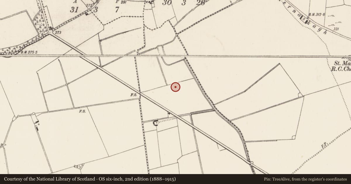 Ordnance Survey six-inch map, 2nd edition (1888–1915) covering the location of Barrow - ditch barrow, Baggotstown East, County Limerick, with a pin at the register's coordinates