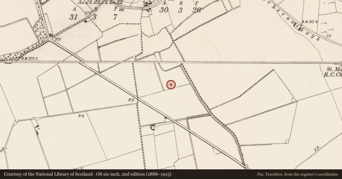 Ordnance Survey six-inch map, 2nd edition (1888–1915) covering the location of Barrow - ditch barrow, Baggotstown East, County Limerick, with a pin at the register's coordinates