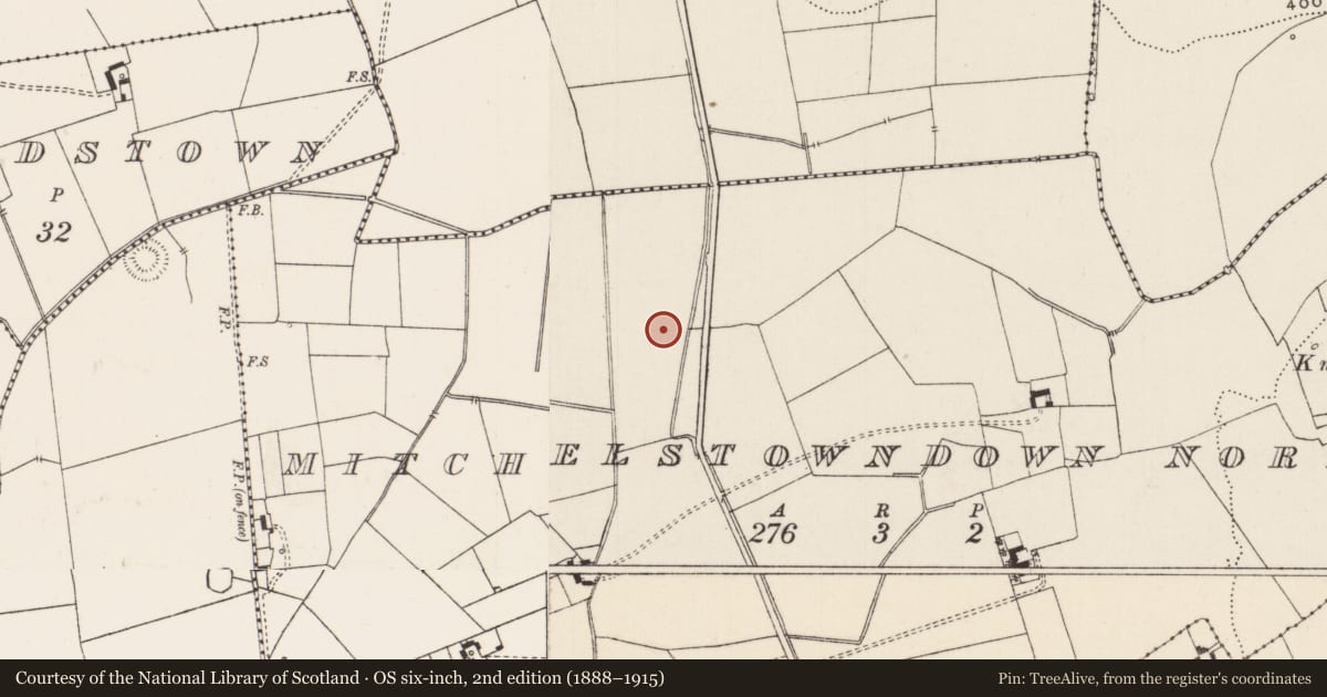Ordnance Survey six-inch map, 2nd edition (1888–1915) covering the location of Barrow - unclassified, Mitchelstowndown North, County Limerick, with a pin at the register's coordinates