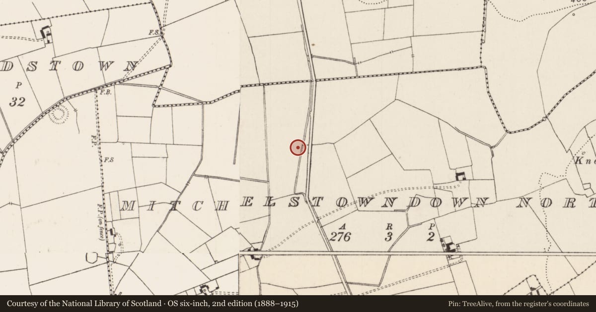 Ordnance Survey six-inch map, 2nd edition (1888–1915) covering the location of Barrow - unclassified, Mitchelstowndown North, County Limerick, with a pin at the register's coordinates