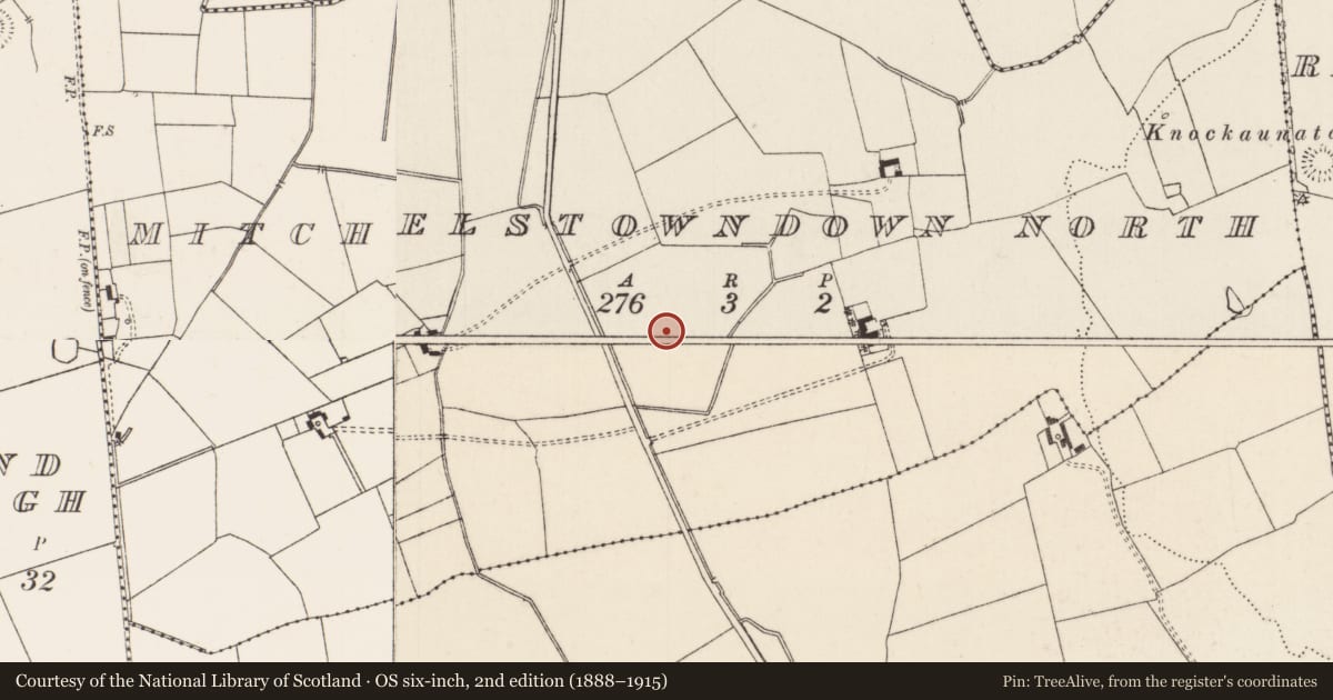 Ordnance Survey six-inch map, 2nd edition (1888–1915) covering the location of Barrow - unclassified, Mitchelstowndown North, County Limerick, with a pin at the register's coordinates