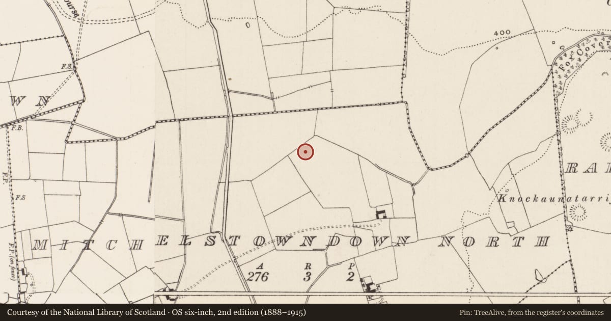 Ordnance Survey six-inch map, 2nd edition (1888–1915) covering the location of Earthwork, Mitchelstowndown North, County Limerick, with a pin at the register's coordinates
