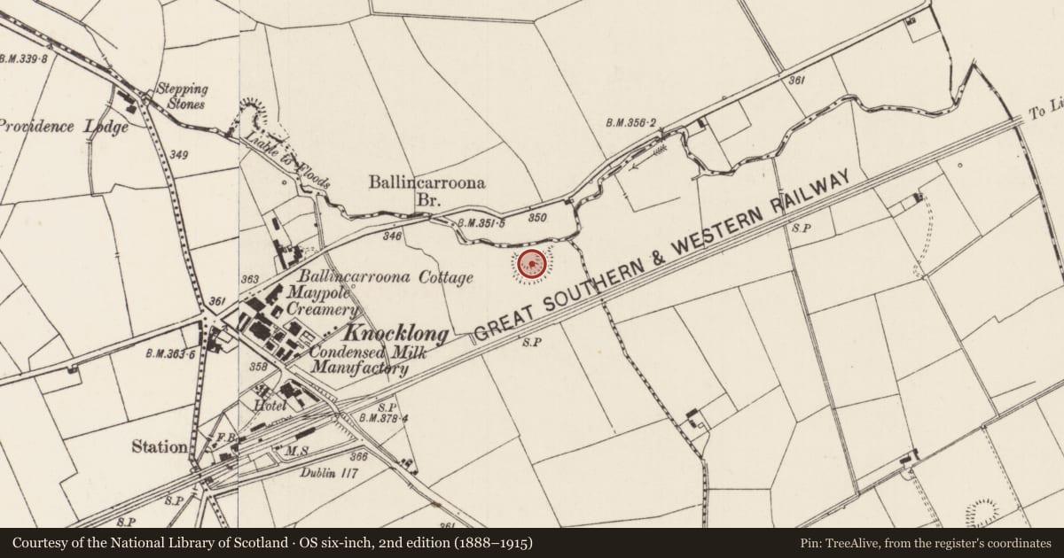 Ordnance Survey six-inch map, 2nd edition (1888–1915) covering the location of Ringfort - rath, Knocklong East, County Limerick, with a pin at the register's coordinates