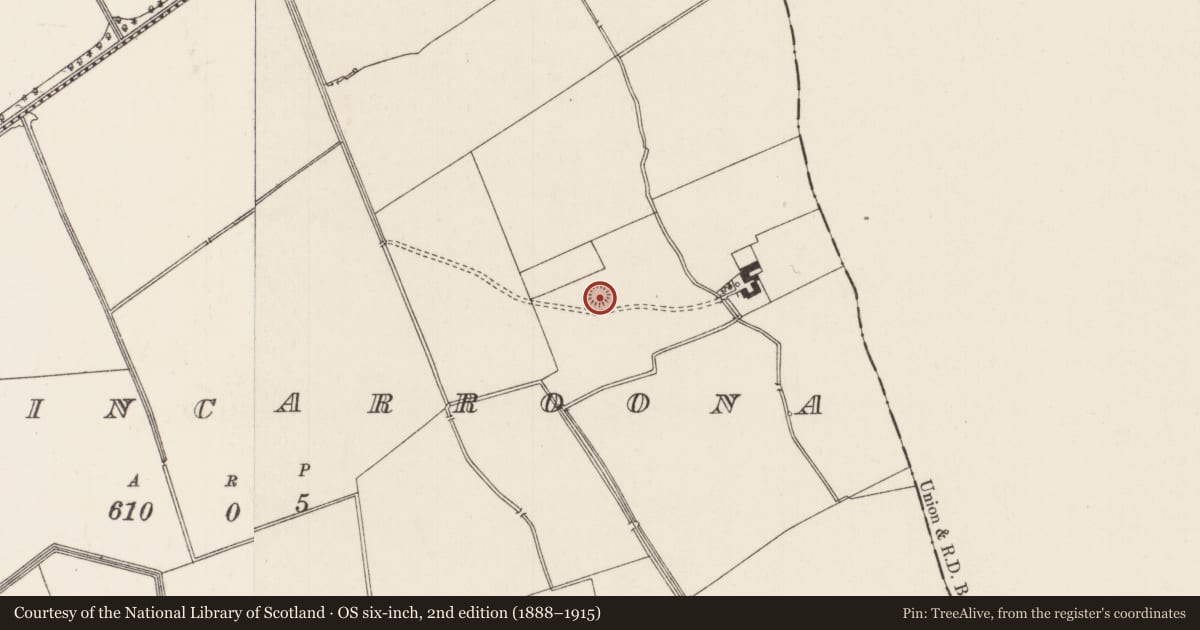 Ordnance Survey six-inch map, 2nd edition (1888–1915) covering the location of Enclosure, Ballincarroona, County Limerick, with a pin at the register's coordinates