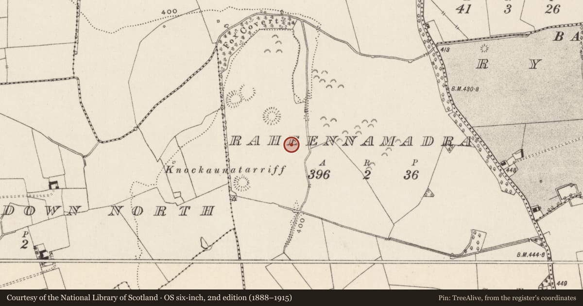 Ordnance Survey six-inch map, 2nd edition (1888–1915) covering the location of Earthwork, Raheennamadra, County Limerick, with a pin at the register's coordinates