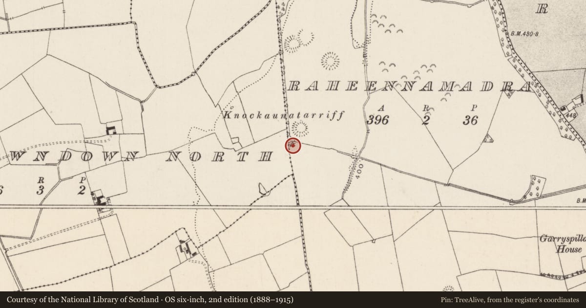 Ordnance Survey six-inch map, 2nd edition (1888–1915) covering the location of Burial mound, Raheennamadra, County Limerick, with a pin at the register's coordinates