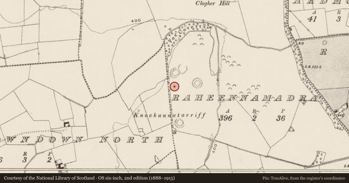Ordnance Survey six-inch map, 2nd edition (1888–1915) covering the location of Earthwork, Raheennamadra, County Limerick, with a pin at the register's coordinates