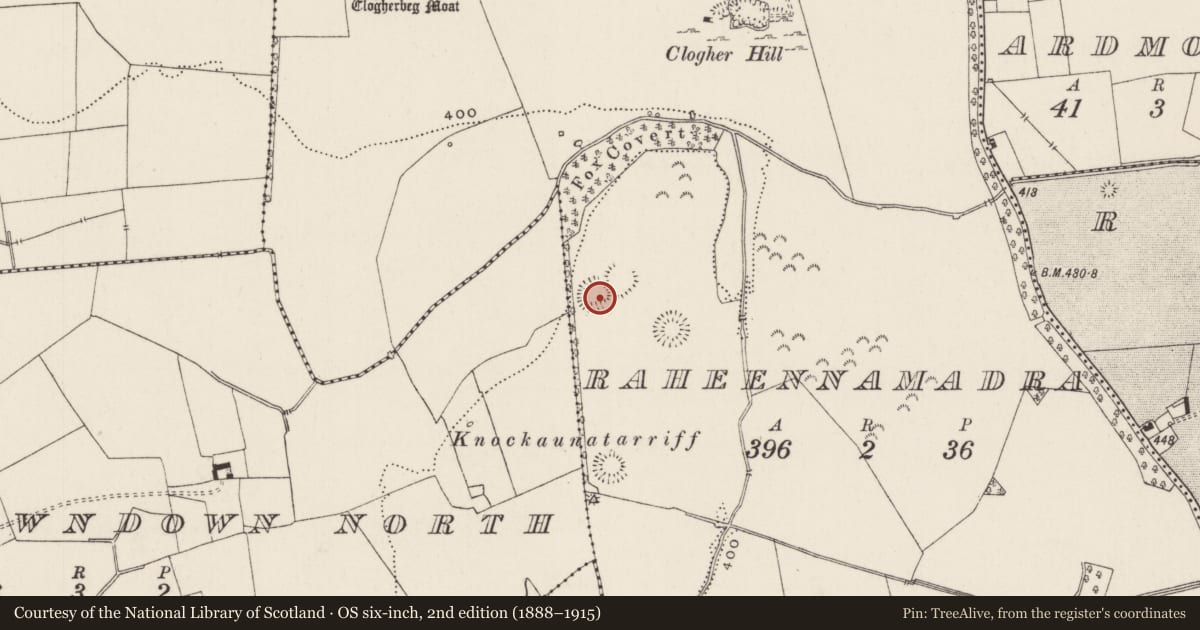 Ordnance Survey six-inch map, 2nd edition (1888–1915) covering the location of Ringfort - cashel, Raheennamadra, County Limerick, with a pin at the register's coordinates
