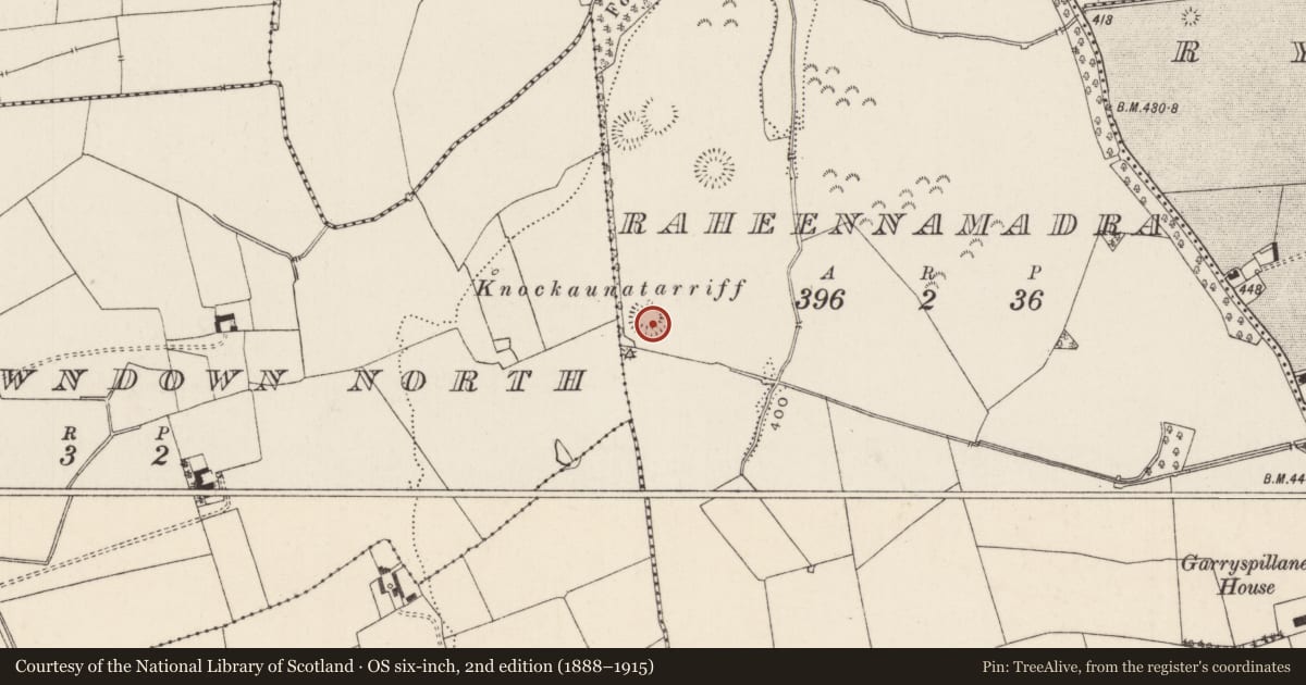 Ordnance Survey six-inch map, 2nd edition (1888–1915) covering the location of Ringfort - rath, Raheennamadra, County Limerick, with a pin at the register's coordinates
