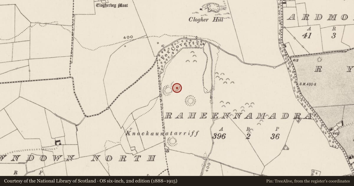 Ordnance Survey six-inch map, 2nd edition (1888–1915) covering the location of Ringfort - cashel, Raheennamadra, County Limerick, with a pin at the register's coordinates