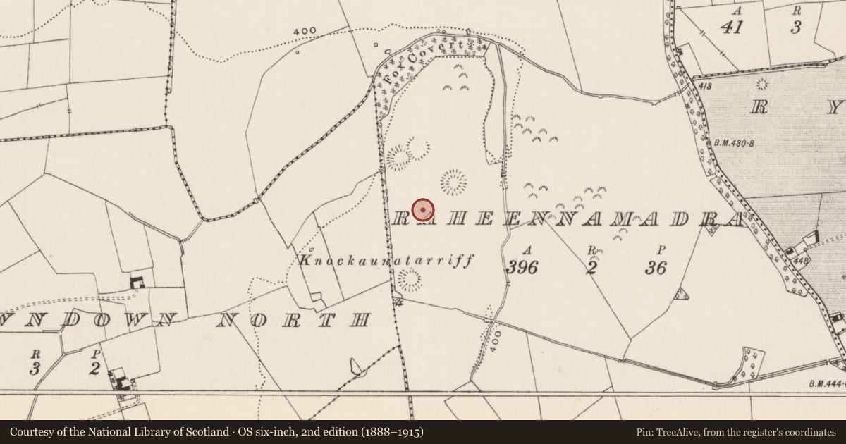 Ordnance Survey six-inch map, 2nd edition (1888–1915) covering the location of Standing stone, Raheennamadra, County Limerick, with a pin at the register's coordinates