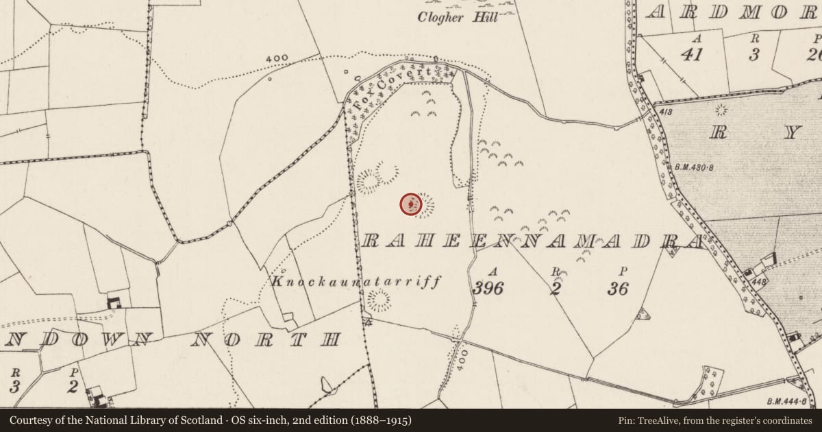 Ordnance Survey six-inch map, 2nd edition (1888–1915) covering the location of Road - road/trackway, Raheennamadra, County Limerick, with a pin at the register's coordinates