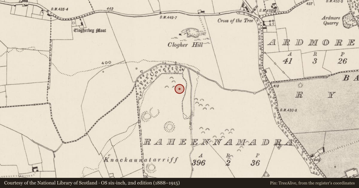 Ordnance Survey six-inch map, 2nd edition (1888–1915) covering the location of Standing stone, Raheennamadra, County Limerick, with a pin at the register's coordinates
