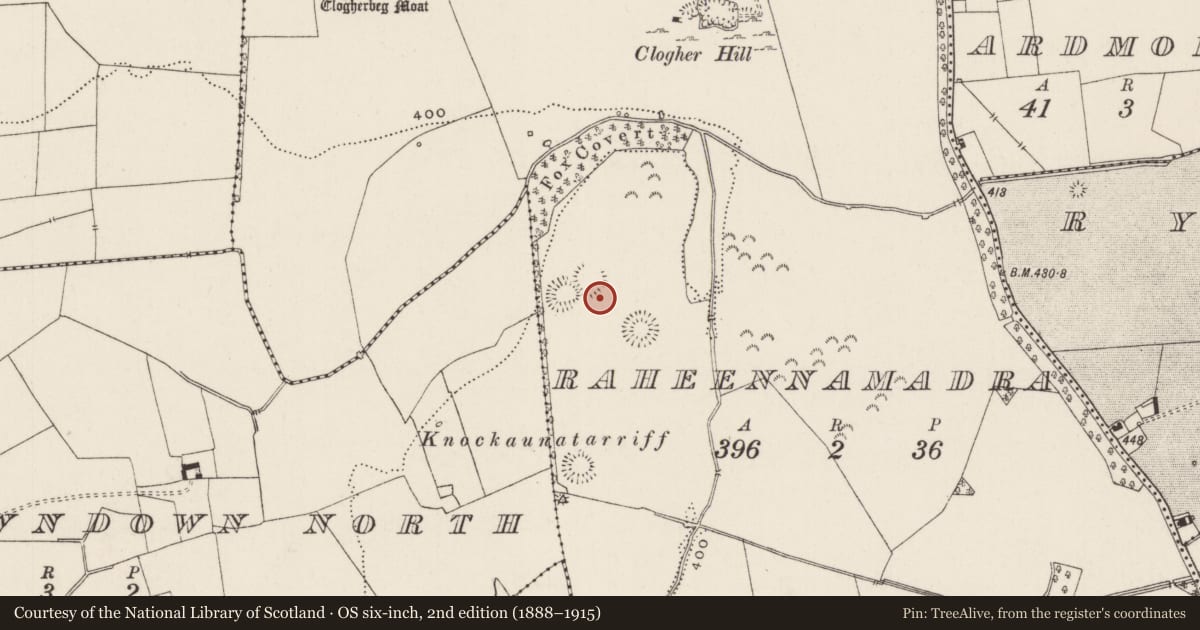 Ordnance Survey six-inch map, 2nd edition (1888–1915) covering the location of Road - road/trackway, Raheennamadra, County Limerick, with a pin at the register's coordinates