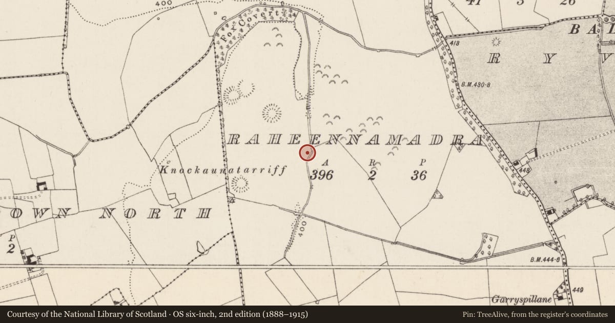 Ordnance Survey six-inch map, 2nd edition (1888–1915) covering the location of Barrow - ditch barrow, Raheennamadra, County Limerick, with a pin at the register's coordinates