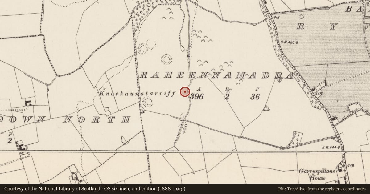 Ordnance Survey six-inch map, 2nd edition (1888–1915) covering the location of Barrow - ditch barrow, Raheennamadra, County Limerick, with a pin at the register's coordinates