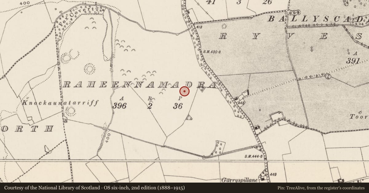 Ordnance Survey six-inch map, 2nd edition (1888–1915) covering the location of Road - road/trackway, Raheennamadra, County Limerick, with a pin at the register's coordinates