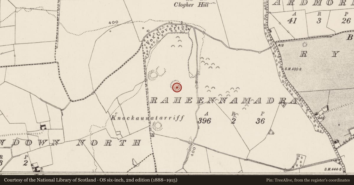 Ordnance Survey six-inch map, 2nd edition (1888–1915) covering the location of Souterrain, Raheennamadra, County Limerick, with a pin at the register's coordinates