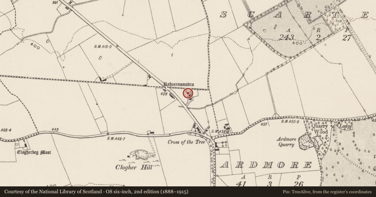 Ordnance Survey six-inch map, 2nd edition (1888–1915) covering the location of Earthwork, Raheennamadra, County Limerick, with a pin at the register's coordinates
