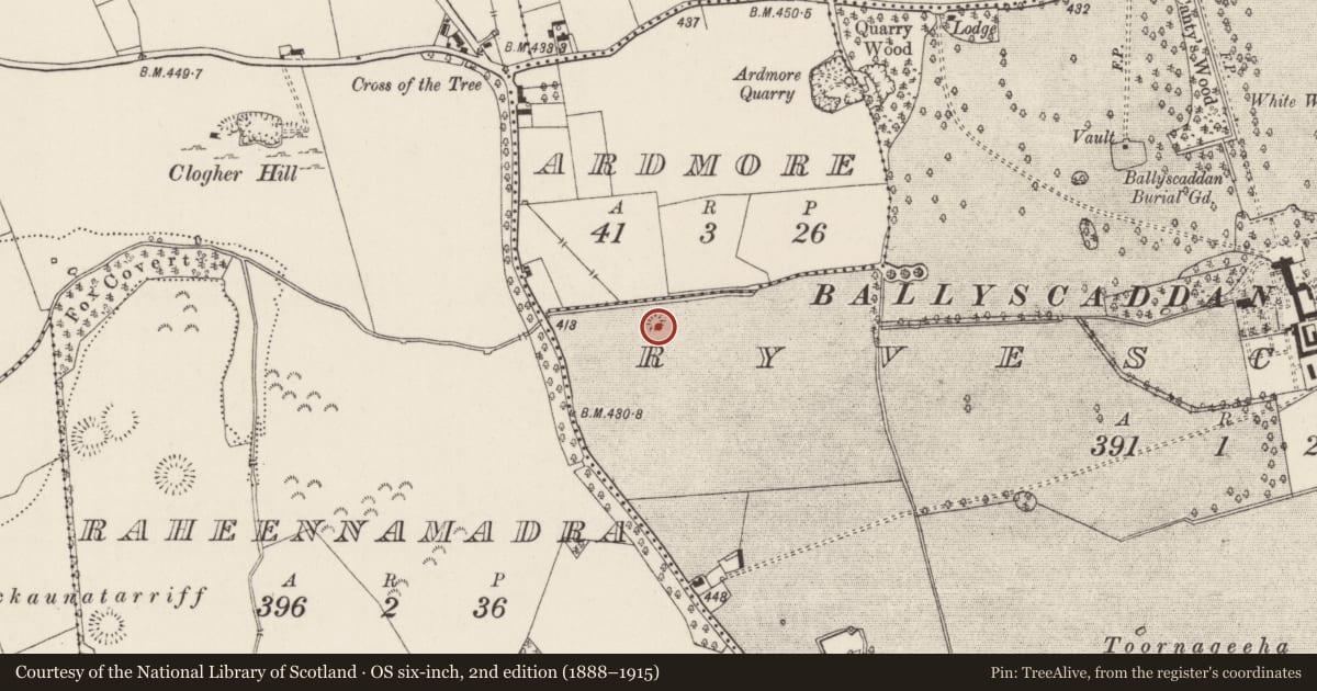 Ordnance Survey six-inch map, 2nd edition (1888–1915) covering the location of Earthwork, Ryves Castle, County Limerick, with a pin at the register's coordinates