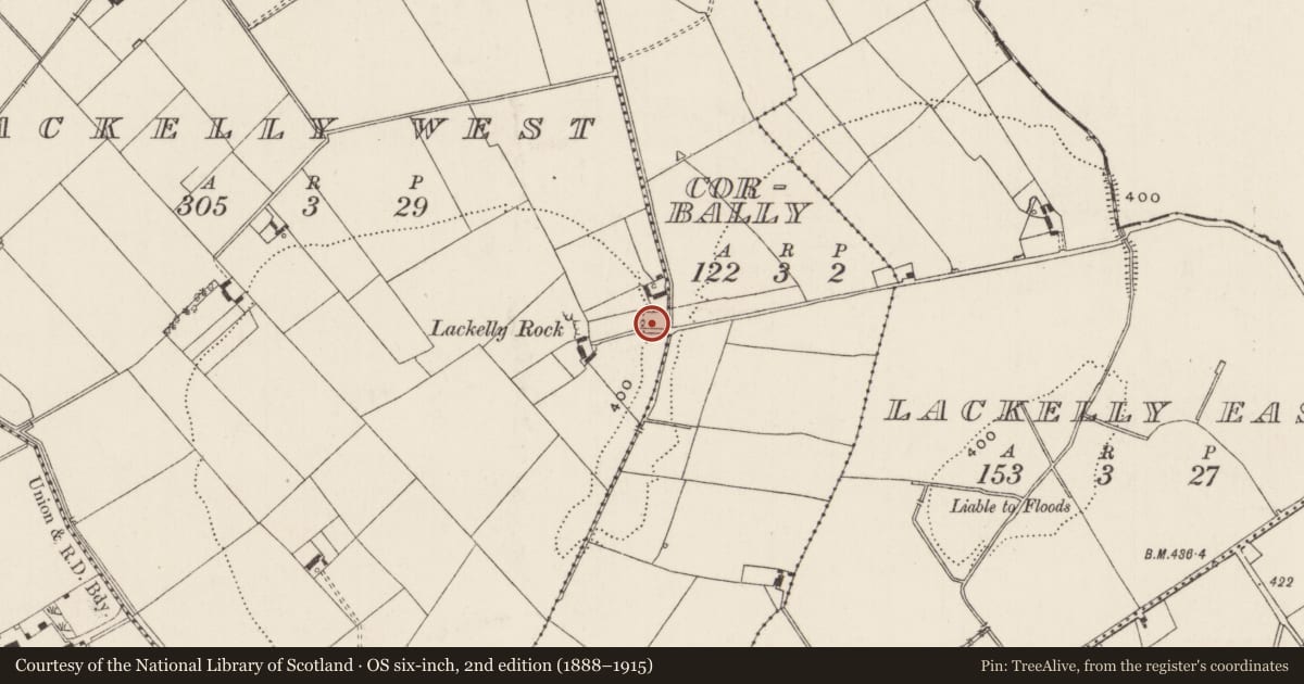 Ordnance Survey six-inch map, 2nd edition (1888–1915) covering the location of Church, Lackelly West, County Limerick, with a pin at the register's coordinates