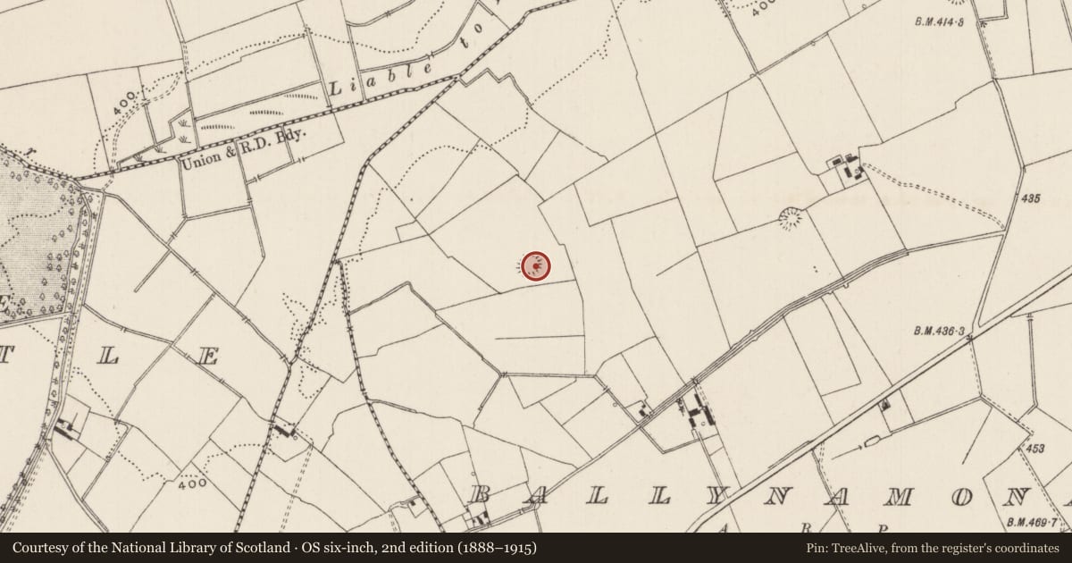 Ordnance Survey six-inch map, 2nd edition (1888–1915) covering the location of Earthwork, Ballynamona, County Limerick, with a pin at the register's coordinates